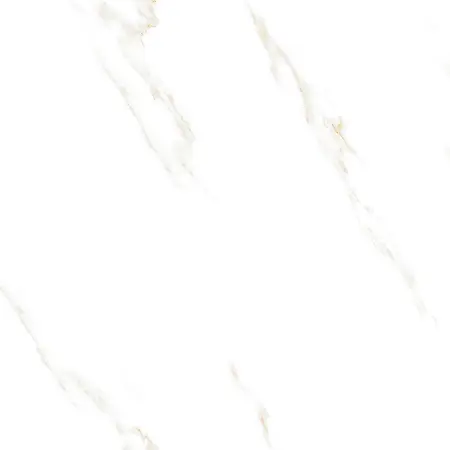 CALACATTA STONE  (9)