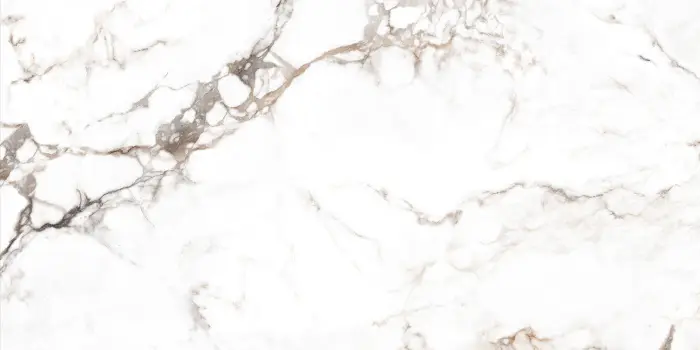 REGAL BORGHINI GREY_R2_