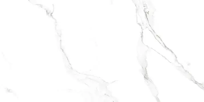 Плитка керамогранитная AZARIO SATVARIO 60х120 Glossy (F4110821128G)