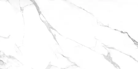 Плитка керамогранитная AZARIO JAVIER SATVARIO 60х120 Glossy (F4110821123G)