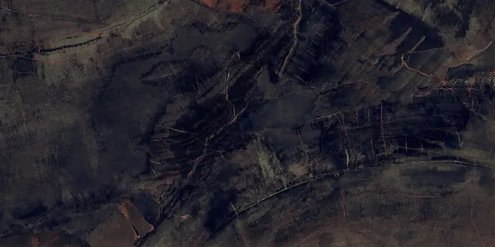 P231123003HG FOSSIL AGATE (2)