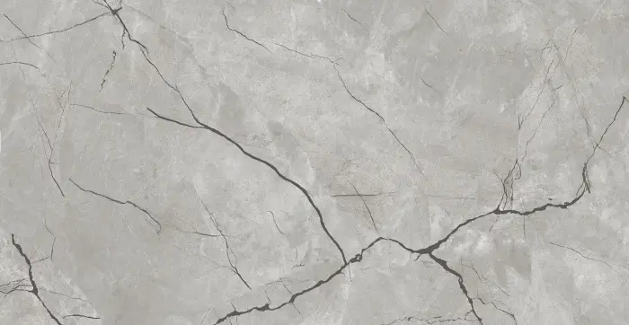 Плитка керамогранитная AZARIO ATLAS GREY 60х120 Glossy (F4050821120G)