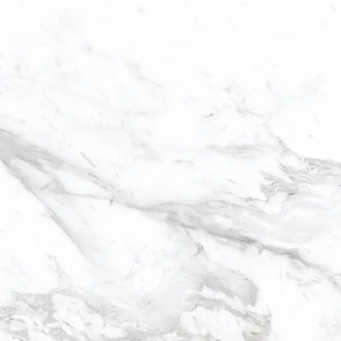 Плитка керамогранитная AZARIO AFION CLASSIC 60х60 Glossy (P102082160G)