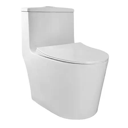 Унитаз-моноблок Azario Bais 380х700х700 безободковый, смыв Rimless, с быстросъемным сиденьем "Микролифт" (AZ-5003)